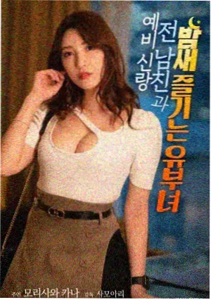 《砖缝里的春天》图鉴封面:墙缝中生长的新芽